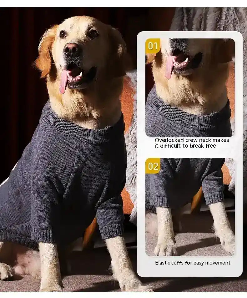 Golden retriever dog wearing a dark gray knit sweater with overlocked crew neck and elastic cuffs indoors