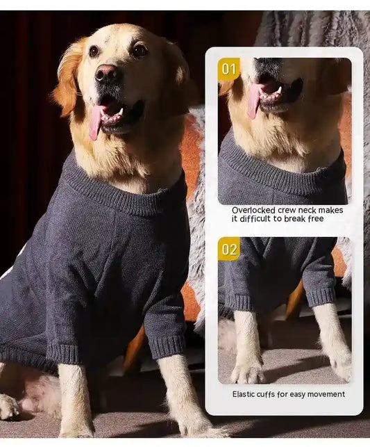 Golden retriever dog wearing a dark gray knit sweater with overlocked crew neck and elastic cuffs indoors