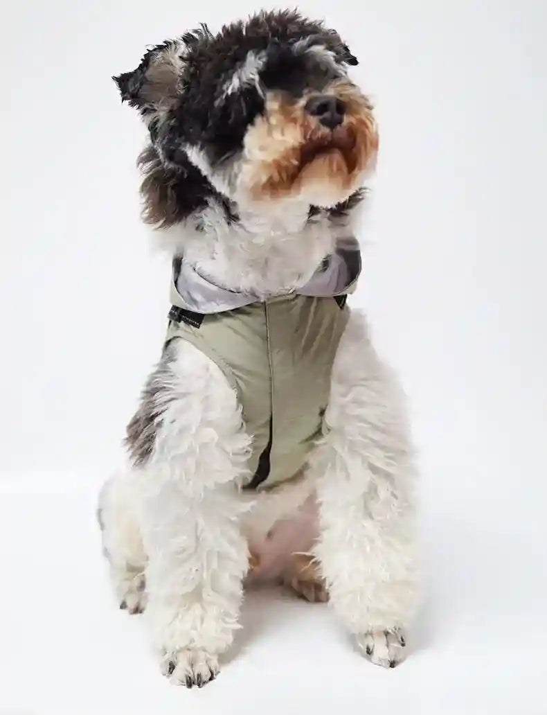 Impermeabile per Cani Modello "Cloudy" con Pettorina Integrata e Chiusura in Velcro - Dog Moda
