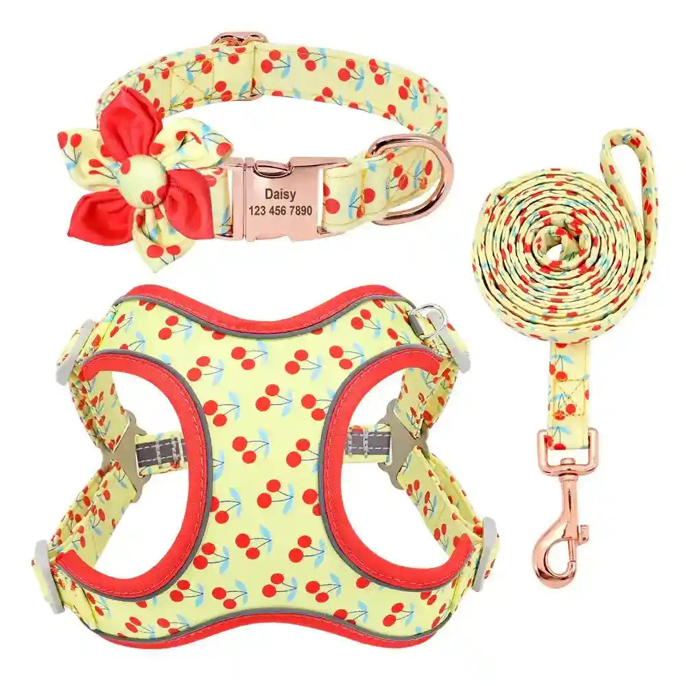 Pettorina per cani "Summer" set completo con collare - Cheepet by Dog Moda