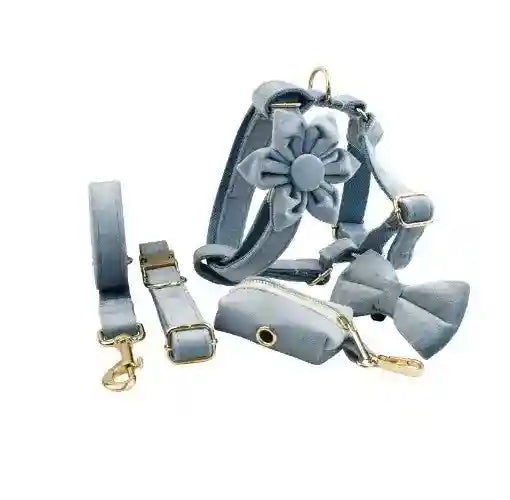 Set Pettorina ad H per Cani Modello "Velvet" by Dog Moda