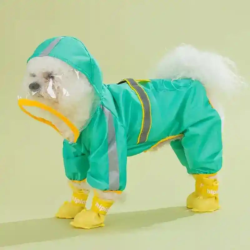 Small white dog wearing a turquoise raincoat with hood and yellow waterproof boots on a light green background