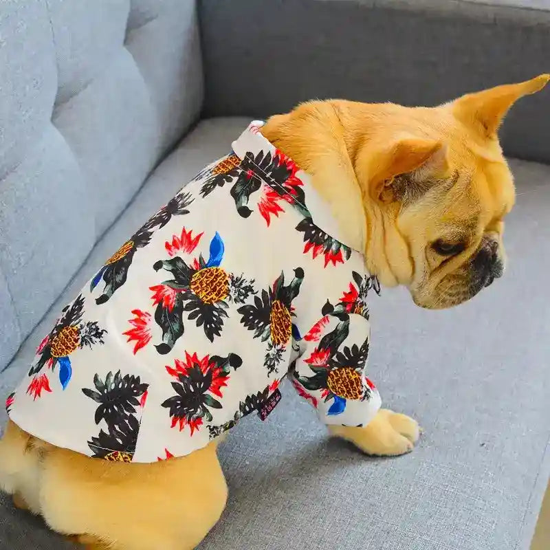 Vestito per cani e Bulldog "Cosmopolitan" by Dog Moda