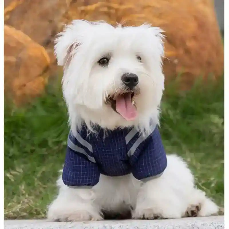 Cappotto Design Impermeabile Cani - Taschina e Coulisse by null