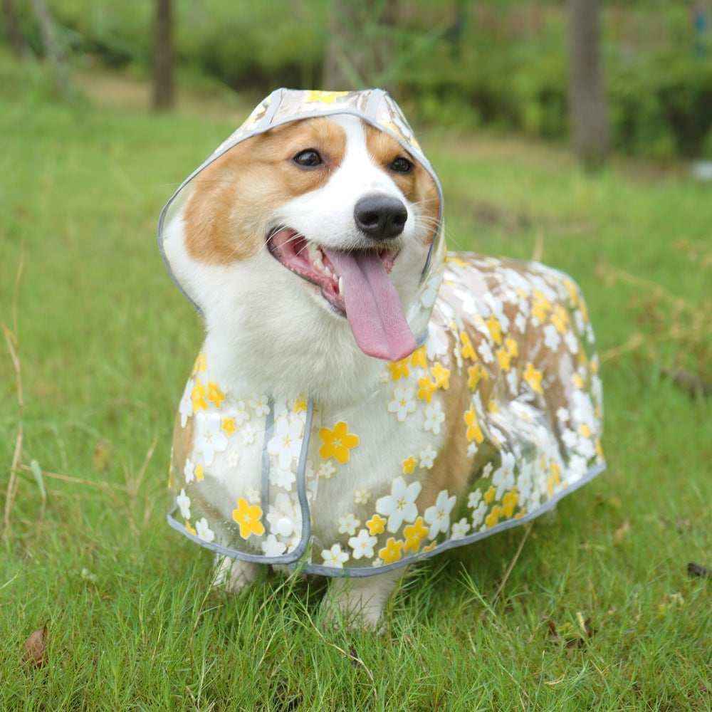Happy corgi dog wearing a yellow and white floral raincoat standing on green grass outdoors