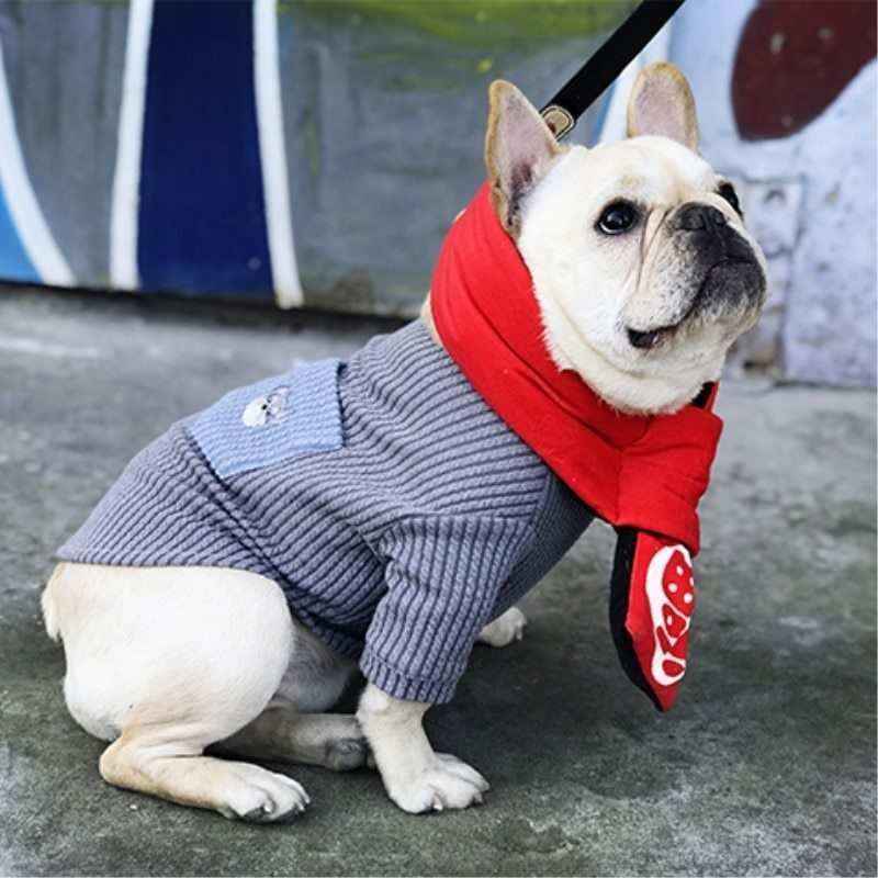 French Bulldog wearing a gray knitted sweater and red scarf sitting on concrete with graffiti wall background