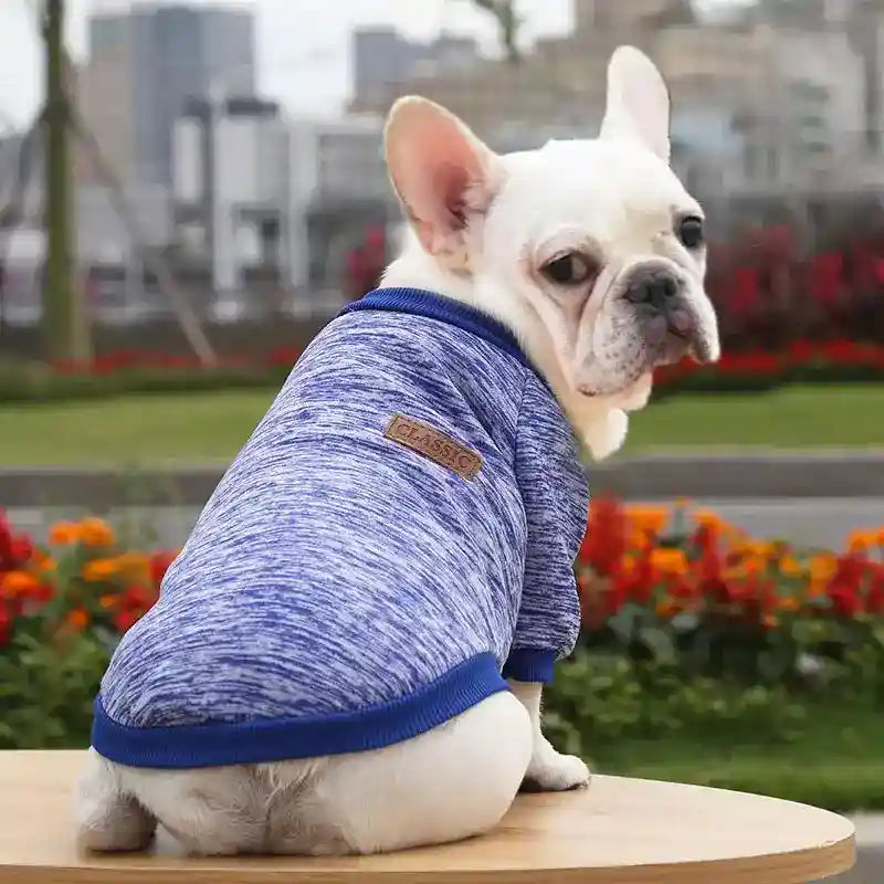 Maglioncino per Cani in Tinta Unita – Modello "Classic" - Dog Moda