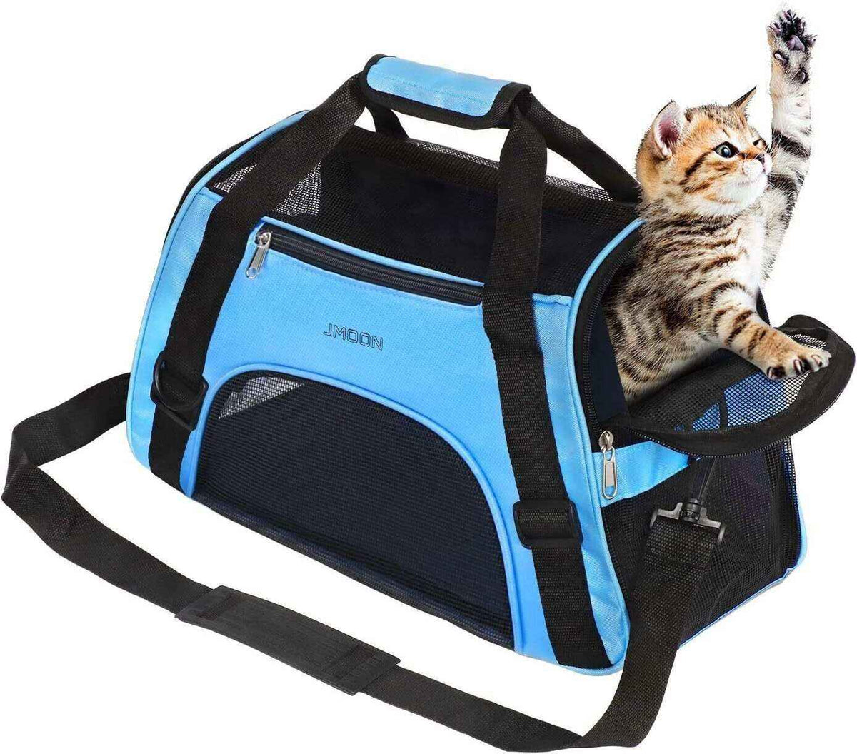Blue and black pet carrier bag with a playful tabby kitten reaching upward inside