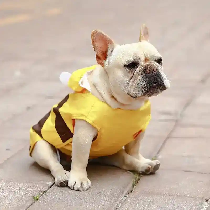 Impermeabile per Cani "Bee" Simpatico e Funzionale per la Pioggia by Dog Moda