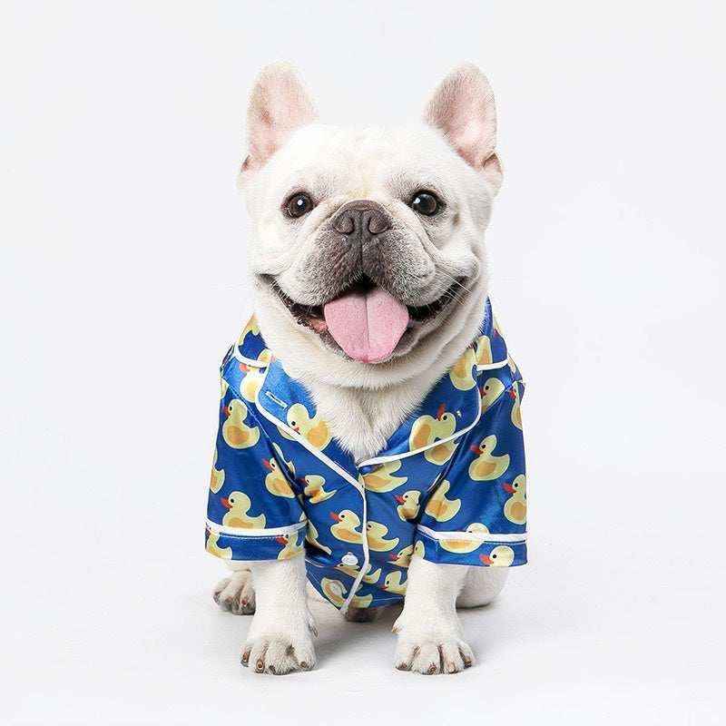 White French Bulldog sitting, wearing blue pajamas with yellow rubber duck pattern, tongue out