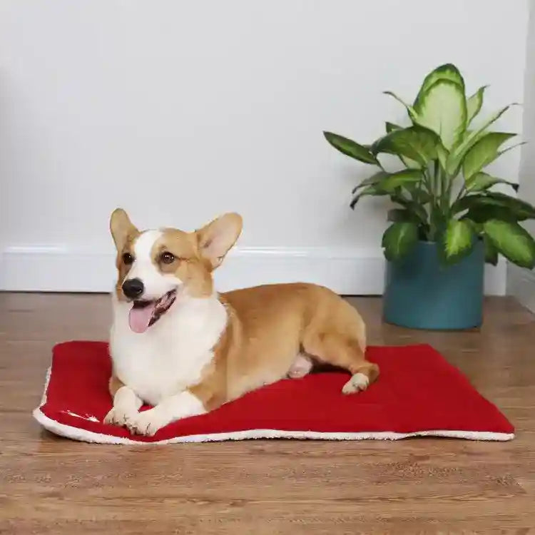 Tappetino per cani in pile rosso "Buon Natale" – Comfort e spirito natalizio per il tuo cane by Dog Moda