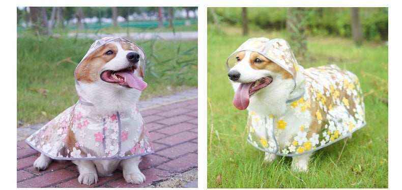 Corgi dogs wearing floral patterned raincoats with hoods outdoors on grass and pavement