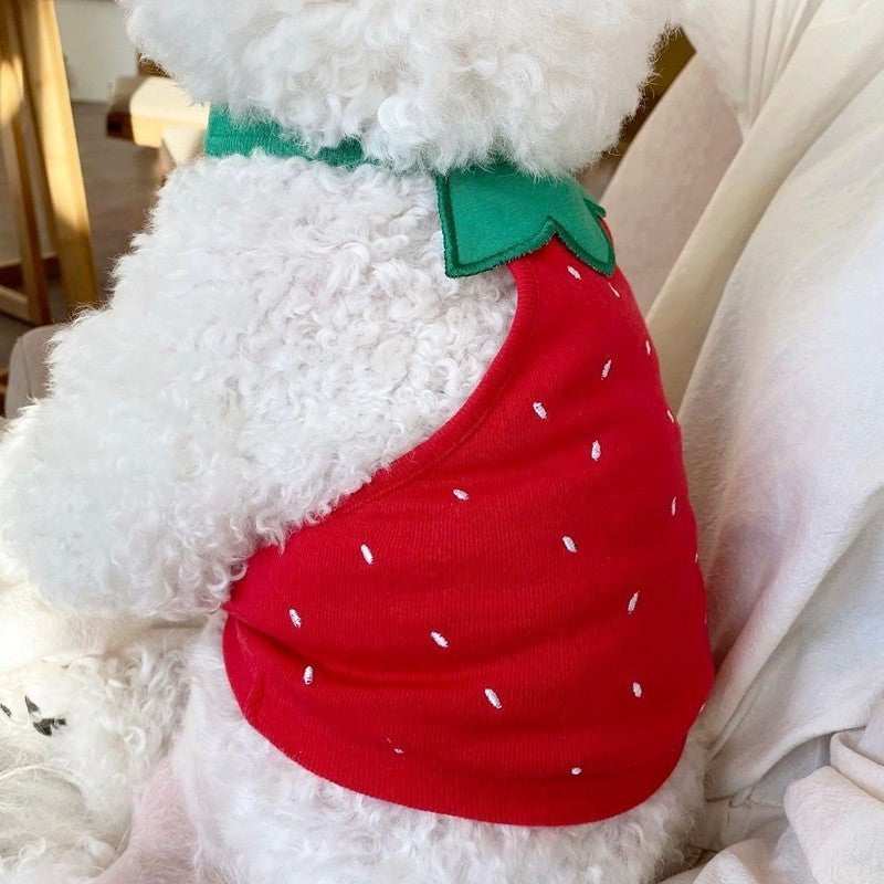 Canotta per Cani Ricamata | Leggera e Traspirante | Dogmoda