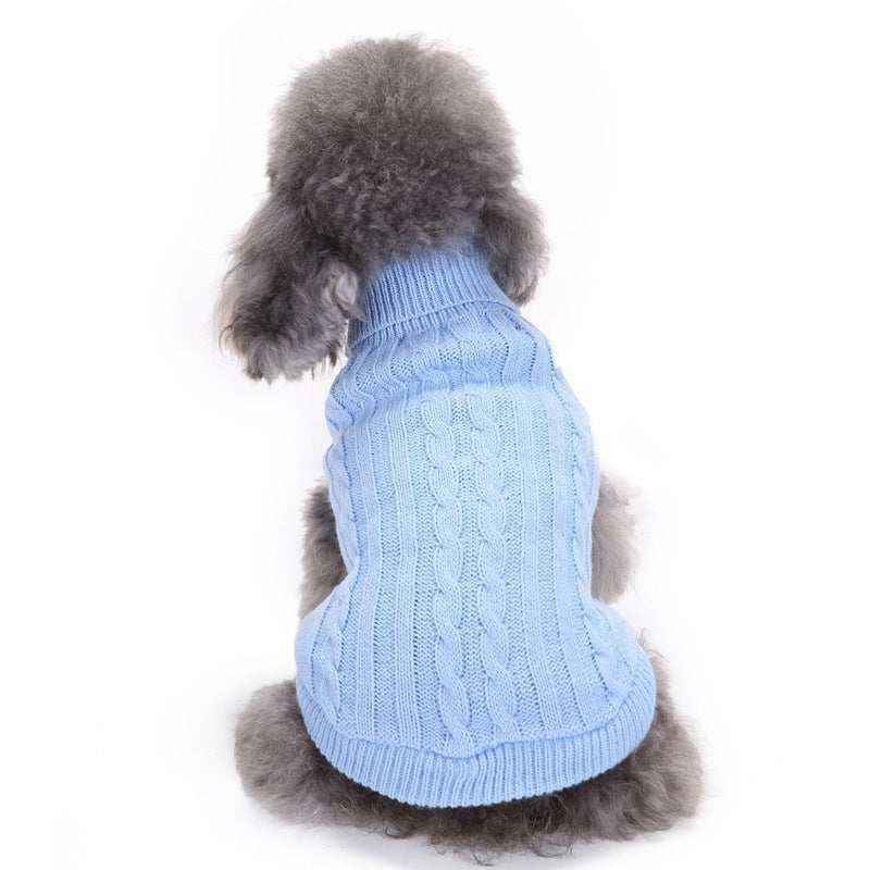 Gray poodle wearing a light blue cable knit sweater on a white background