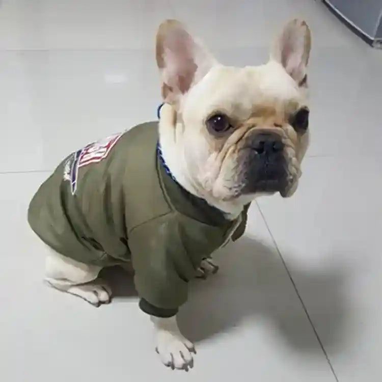 Cappotto per cani "Fly High" imbottito con pile e bottoni | DogModa by Dog Moda