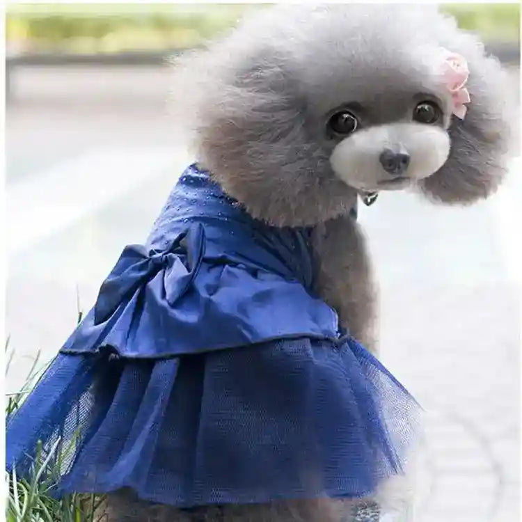 Vestito da cerimonia per cani in raso "Cleopatra" by Dog Moda