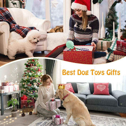 Woman in Santa hat with white dog and gifts, plus another woman giving presents to crowned golden retriever by Christmas tree