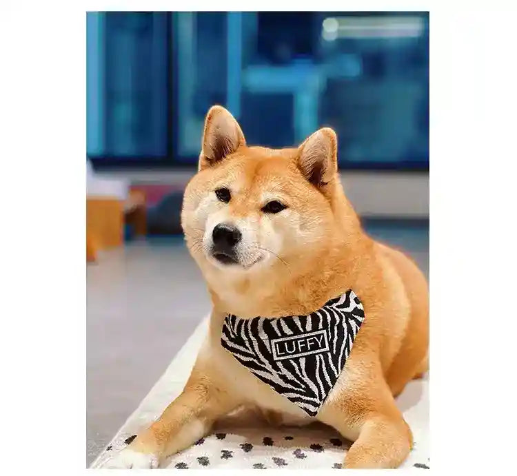 Bandana Personalizzata per Cani con Nome Fantasia Zebrata by Dog Moda