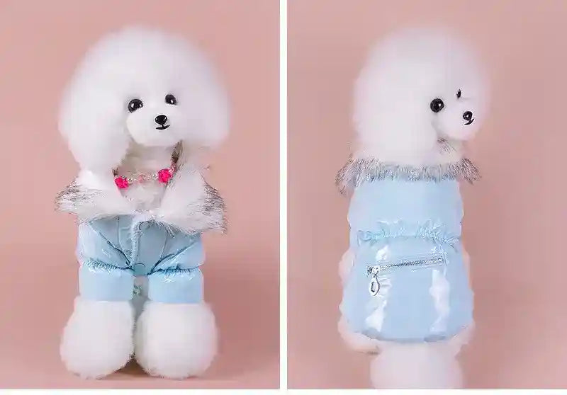 Piumino "Avignone" per Barboncino, Impermeabile e Caldo con Dettagli Chic by Dog Moda