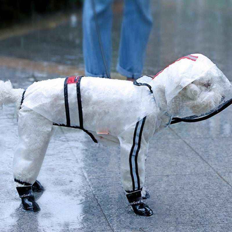 Impermeabile per Cani Trasparente "Limpido" – Eleganza e Protezione in Ogni Passeggiata by Dog Moda