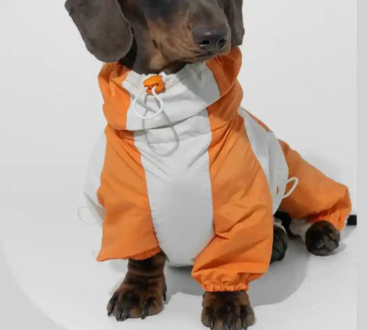 Impermeabile per Bassotto - Protezione Totale 4 Zampe Antipioggia by Dog Moda