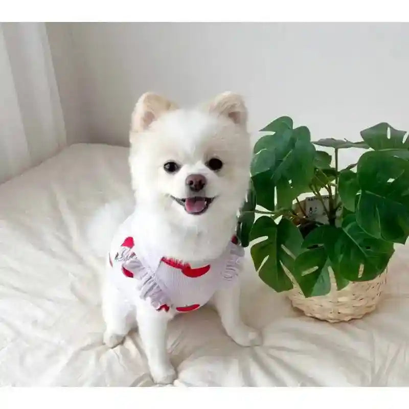 Maglia per Cani con Fantasia a Tinta Unita "Fragola" - Dog Moda