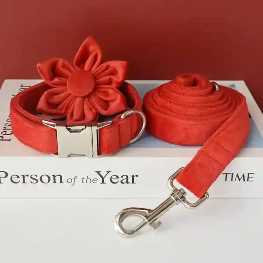 Set Collare e Guinzaglio per Cani in Velluto Rosso - Modello "Bouquet" by Dog Moda