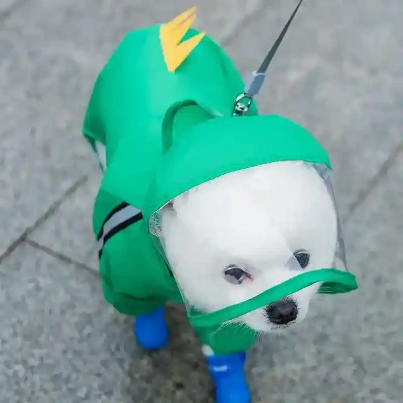 Small white dog wearing a green raincoat with hood and clear face shield, blue dog boots on pavement