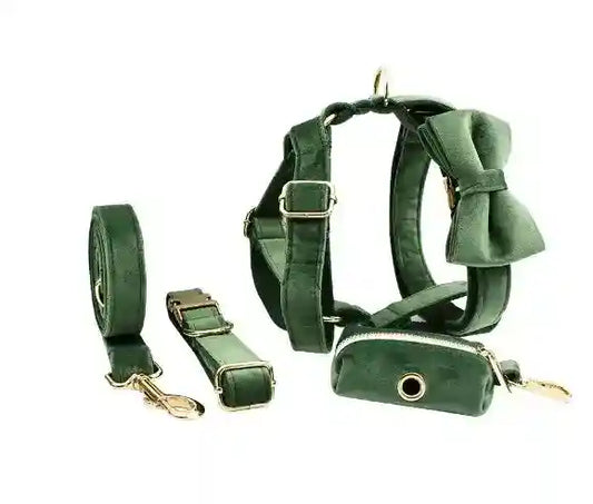 Set Pettorina ad H per Cani Modello "Velvet" by Dog Moda