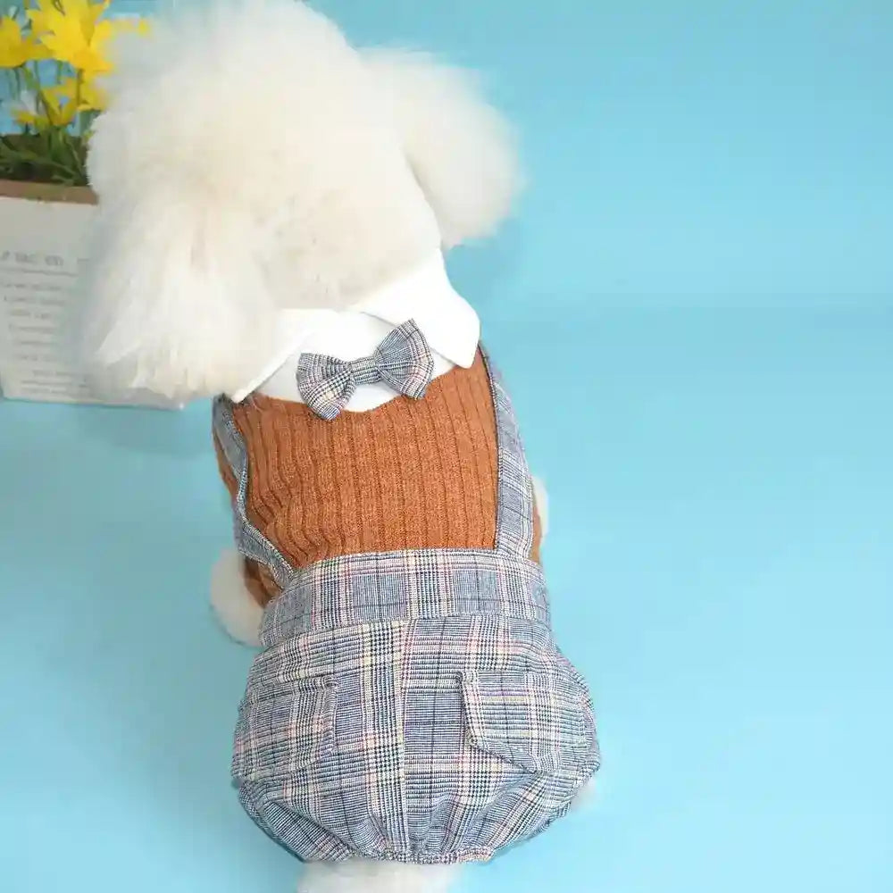 White fluffy dog wearing brown knit sweater with plaid overalls and bow tie on blue background