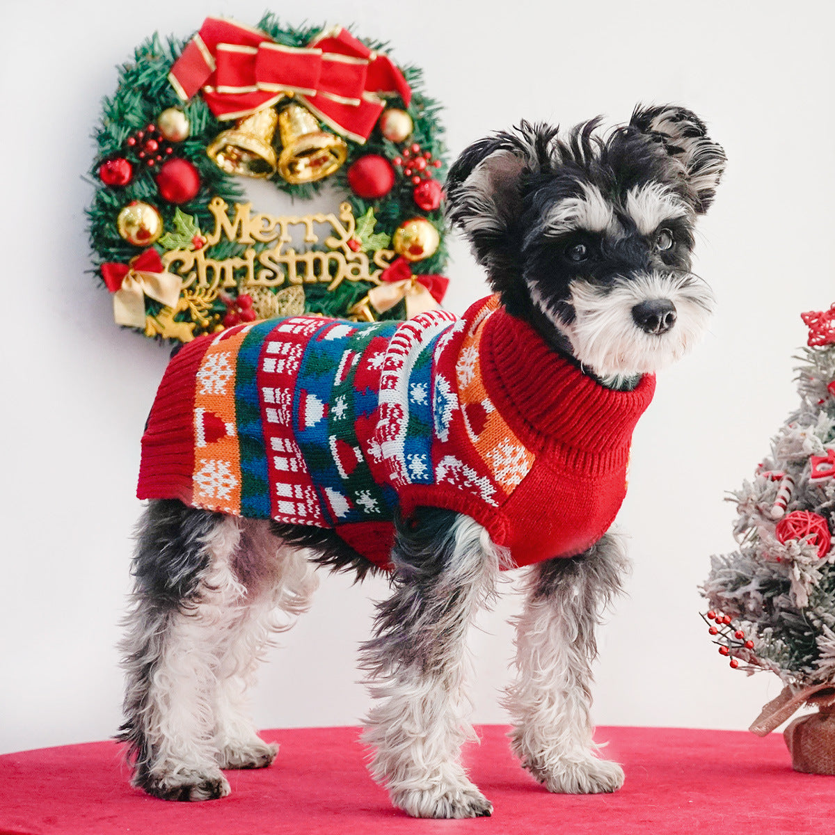 Maglioncino Natalizio per Cani "Merry Christmas"