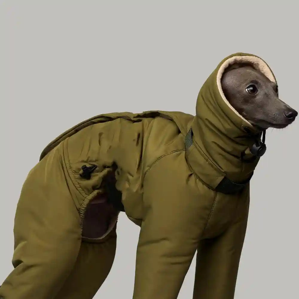 Cappotto Levrieri Galgo Español - 4 Zampe Imbottito Pile by Dog Moda