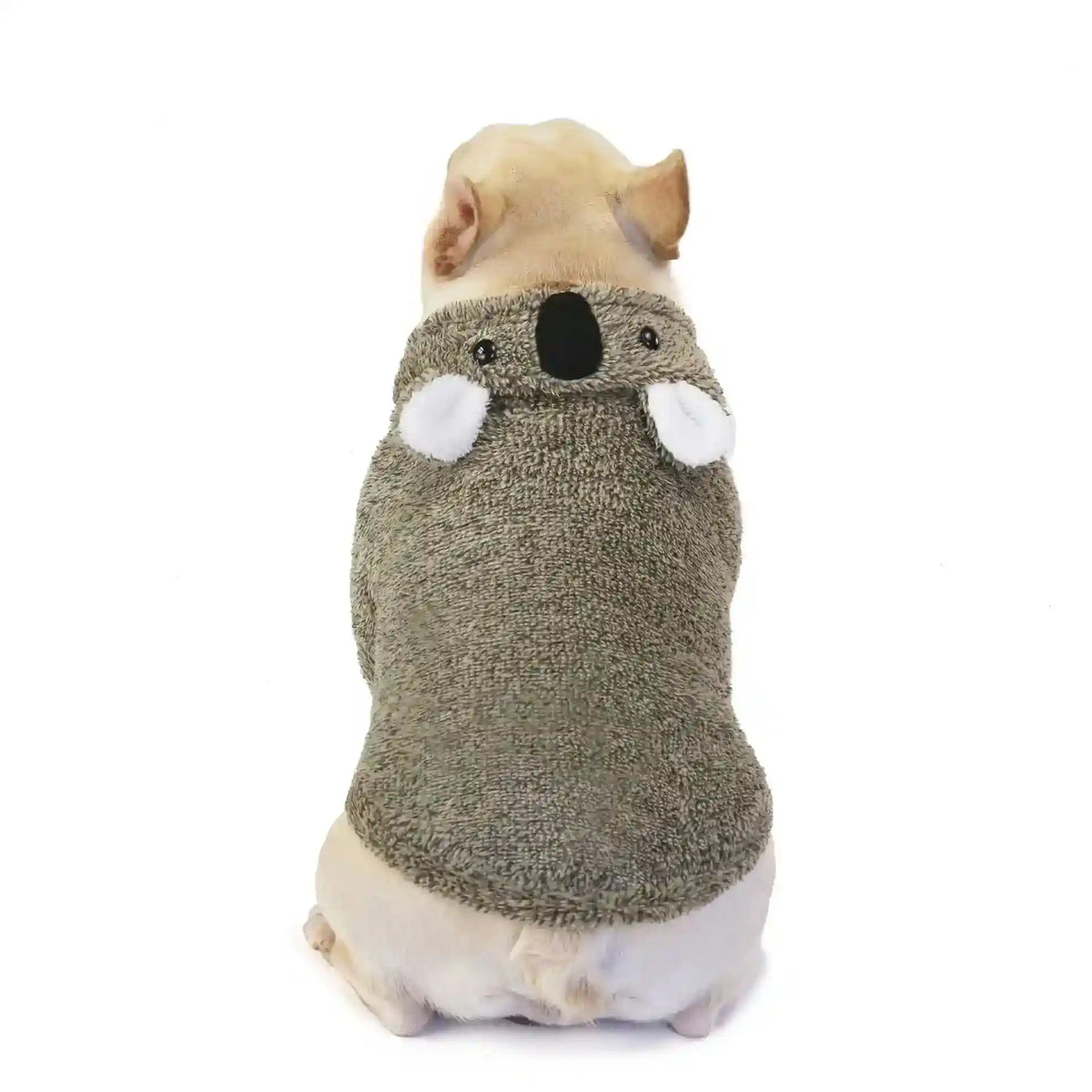 Small dog wearing a cozy gray koala-themed sweater, sitting and facing away on white background