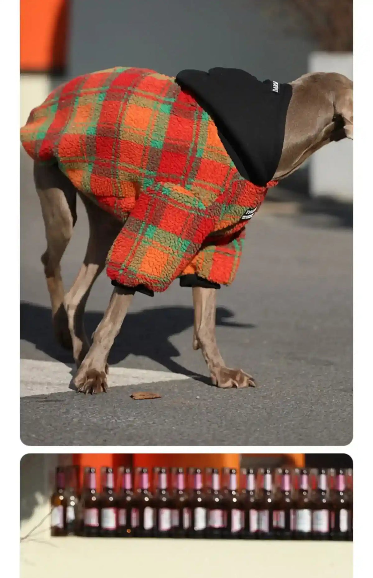 Cappotto per Cani con Cappuccio in Pile Caldo - Imbottito by Dog Moda