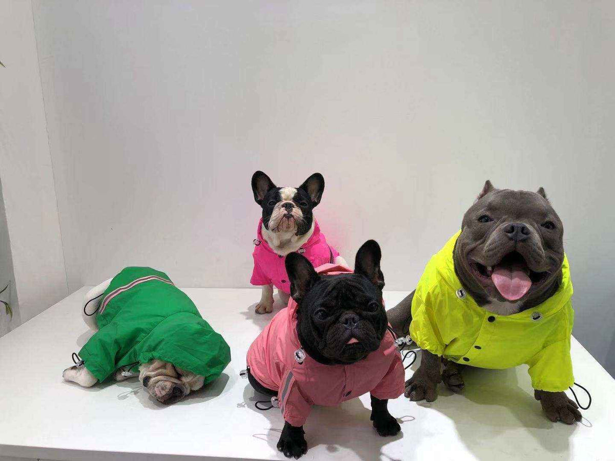 Impermeabile per Cani con Cappuccio e Inserti Riflettenti Modello "Goccia" by Dog Moda