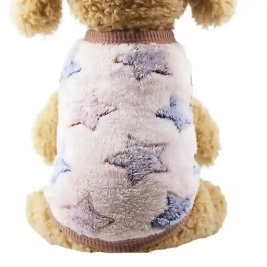 Cute dog wearing a soft fleece sweater with pastel star patterns and brown trim