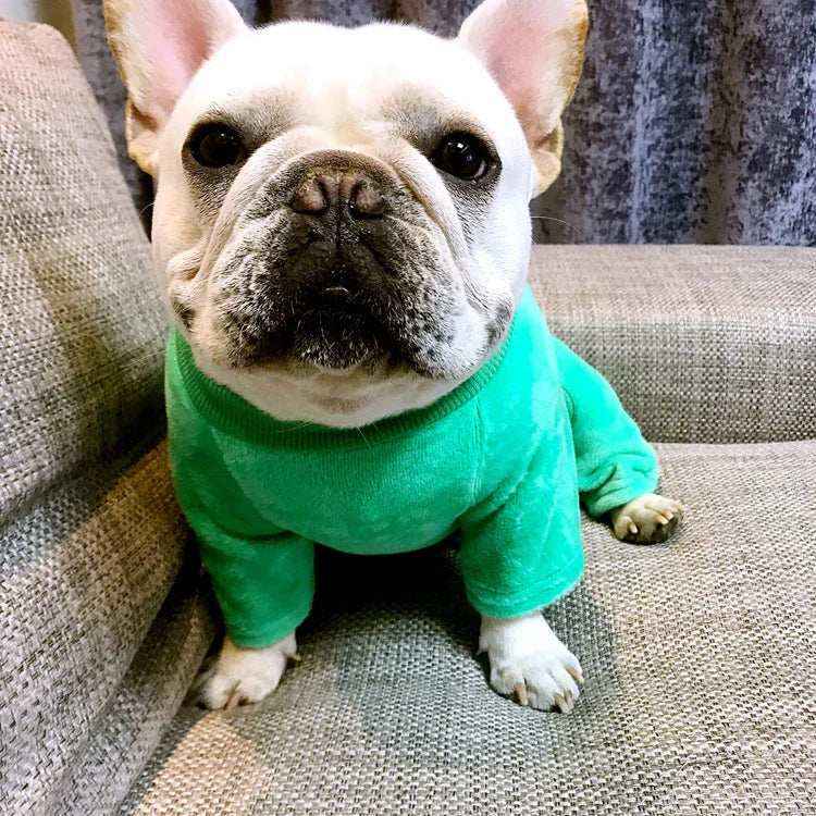 Tutina per Cani Modello "Togheter" - Comfort e Stile per le Giornate Fredde by Dog Moda