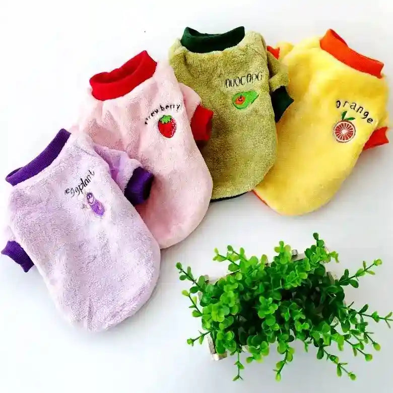 Four colorful fuzzy pet sweaters with fruit and vegetable embroidery including strawberry, avocado, orange, and eggplant next to green plant