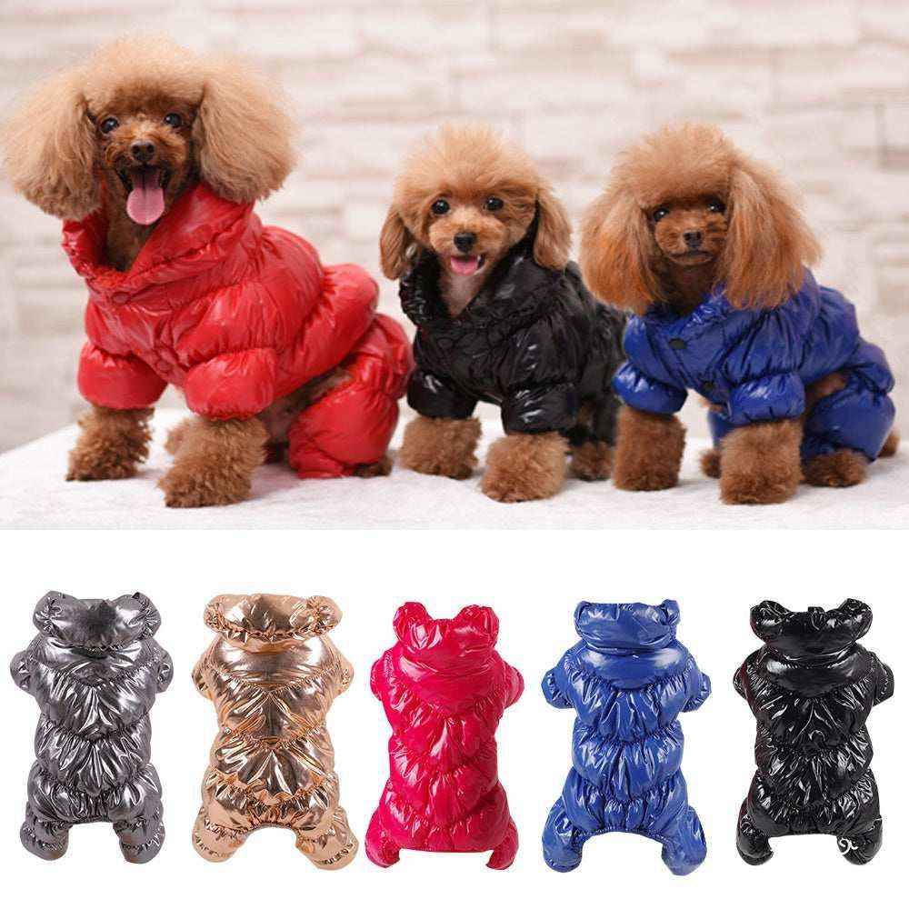 Three small poodles wearing red, black, and blue shiny quilted dog winter coats indoors