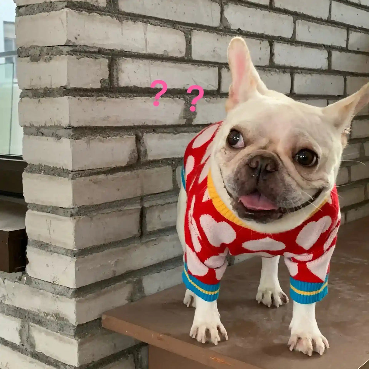 Maglioncino "Rubacuori" per Bulldog e Altri Cani – Cuori Rossi per Scaldare il Tuo Pet con Stile - Dog Moda