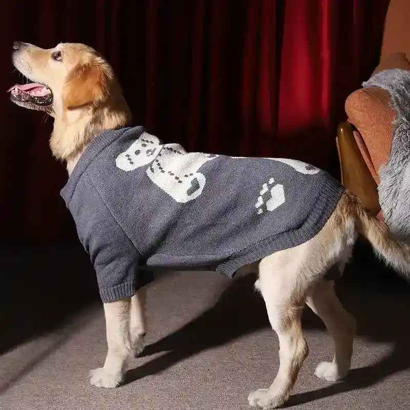 Golden dog wearing gray knitted sweater with white paw print design indoors