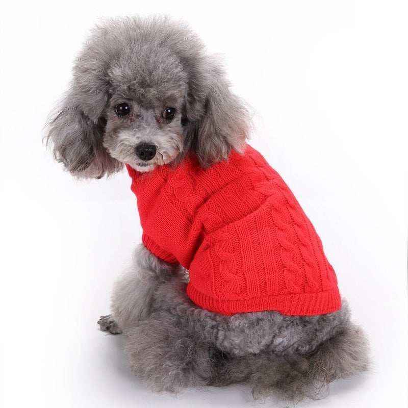 gray poodle wearing a red cable knit sweater sitting on white background