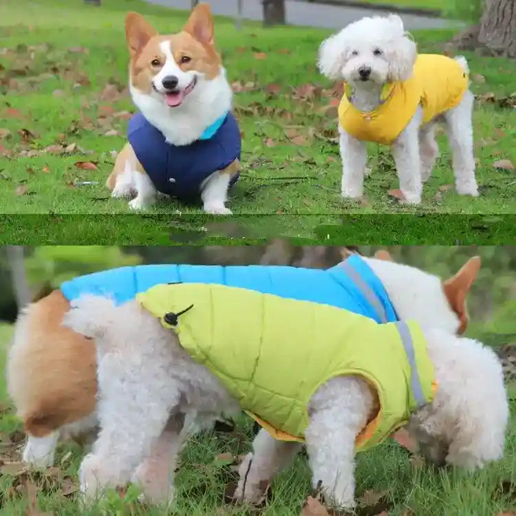 Cappotto Cane Waterproof Riflettente - Coulisse Regolabile by Dog Moda