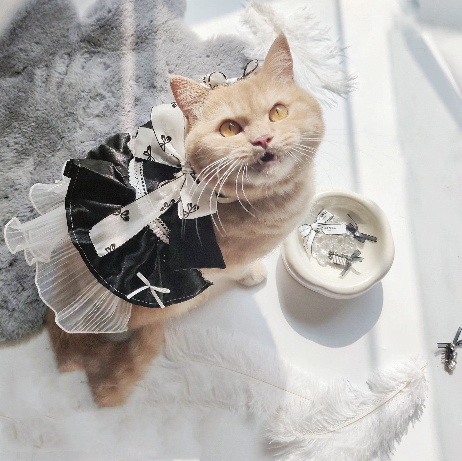 Cat Harness Dress "Glamour Kitty" - Elegant with Bow