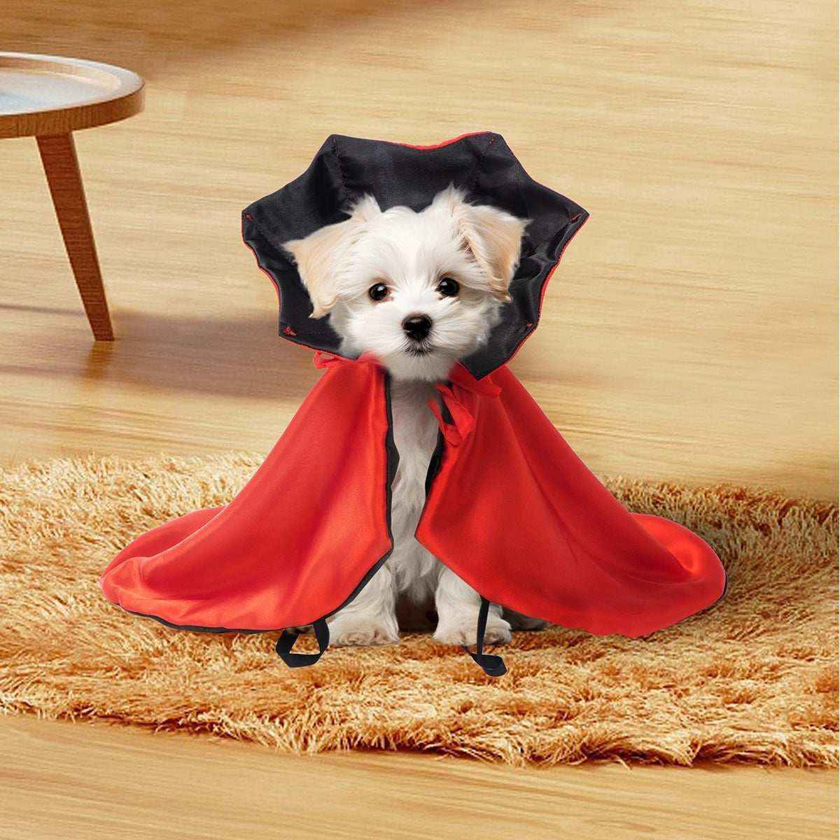 Small white puppy wearing a red and black protective pet recovery collar sitting on a beige rug indoors