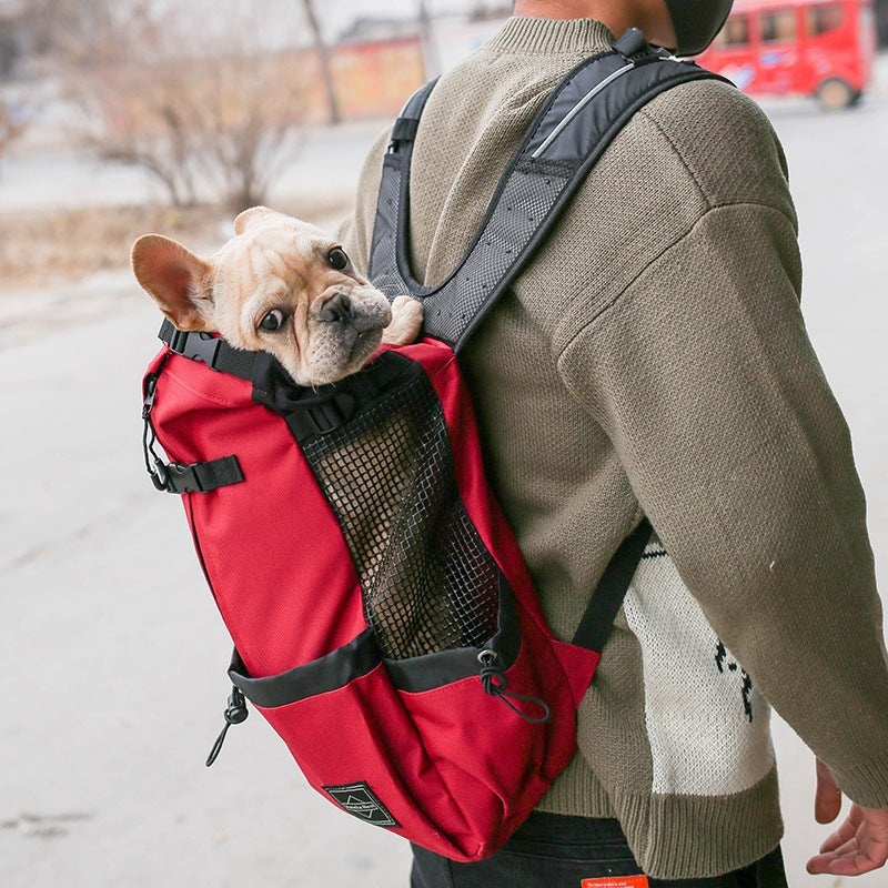 Zaino per cani di taglia media e piccola "Giramondo"