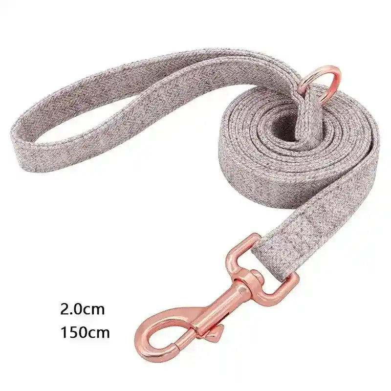 Collare Cane Personalizzato Candy con Nome e Numero – Regolabile by Dog Moda