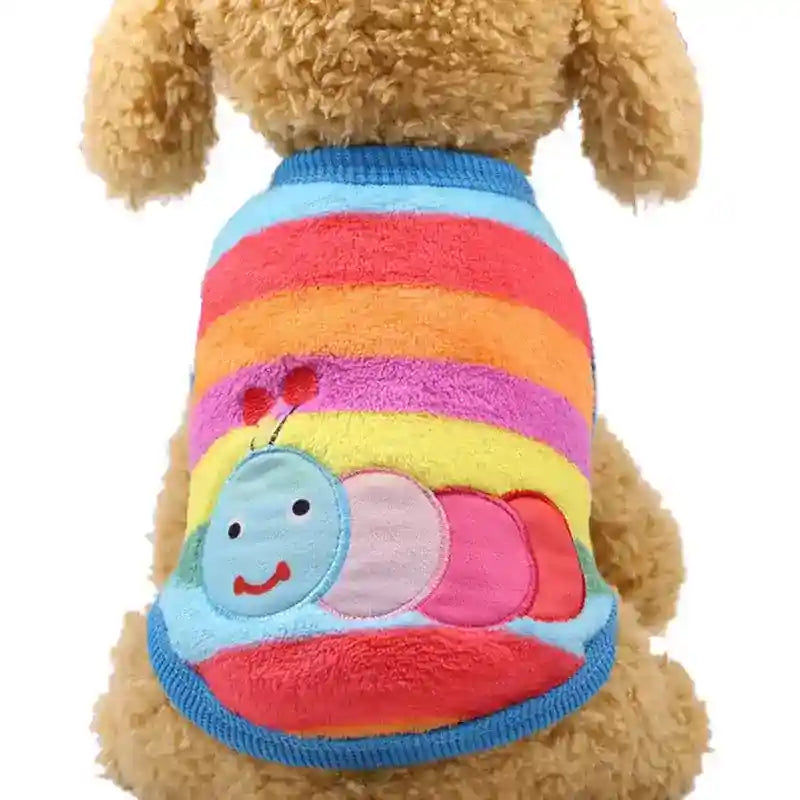 Small dog wearing colorful striped sweater with smiling caterpillar design