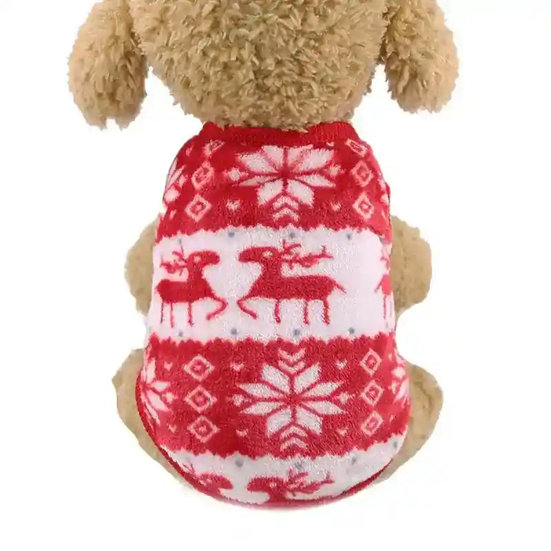 Small dog wearing red and white Christmas sweater with reindeer and snowflake pattern