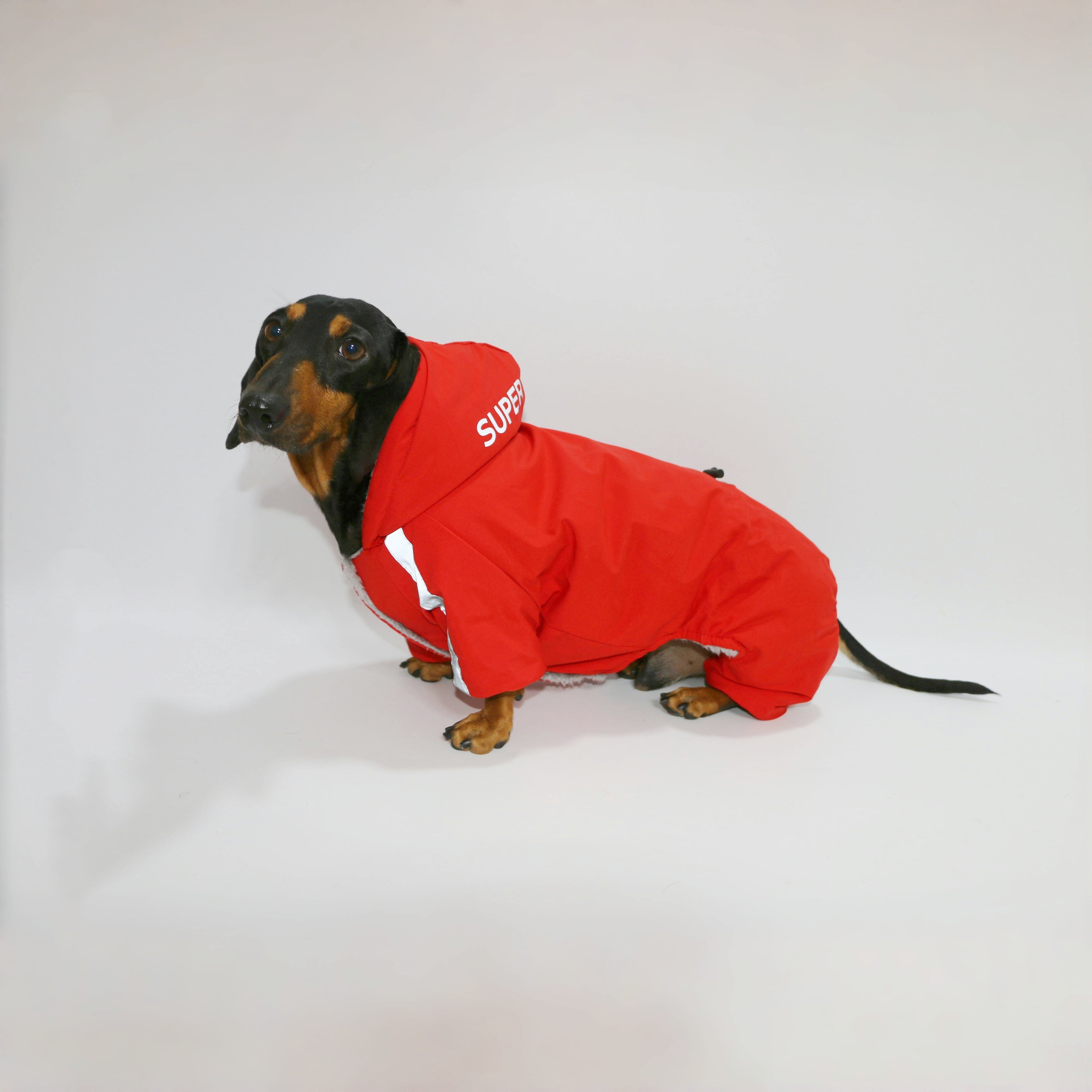 Cappotto per Bassotto “Running” con Cappuccio e Pile